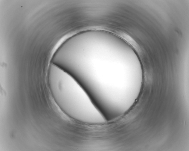 X0000091331436200708100954