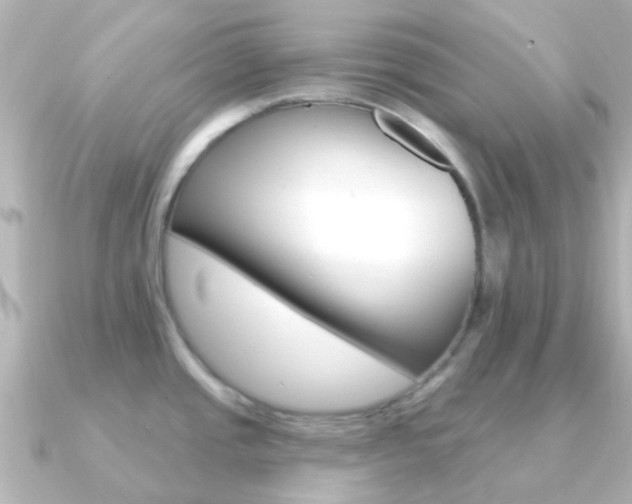 X0000091331437200708100954