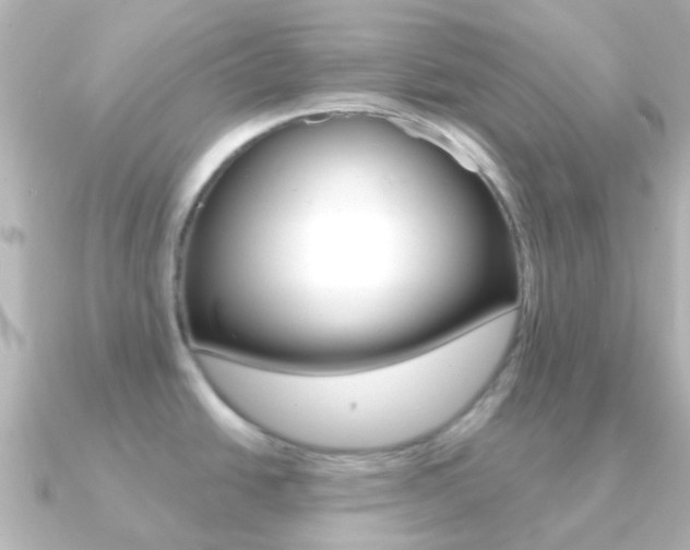 X0000091331438200708100954