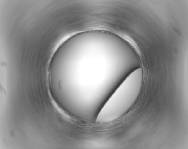 X0000091331439200708100954