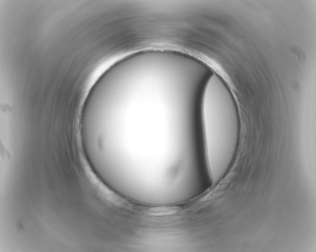 X0000091331440200708100954