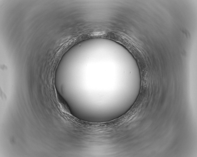 X0000091331441200708100953