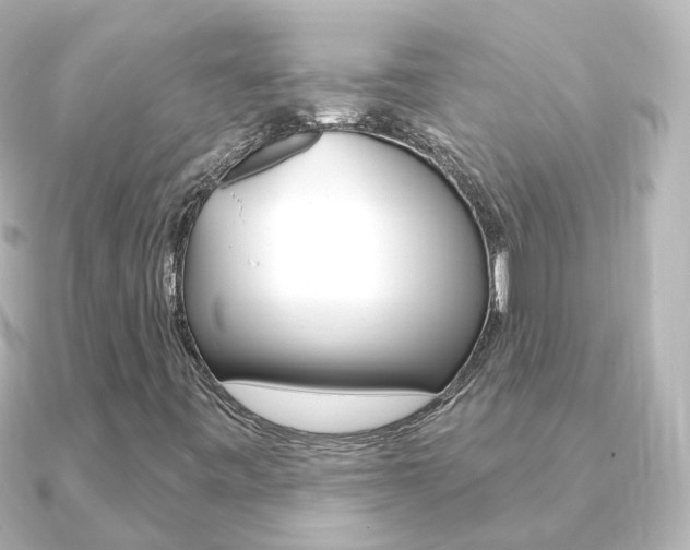 X0000091331443200708100953