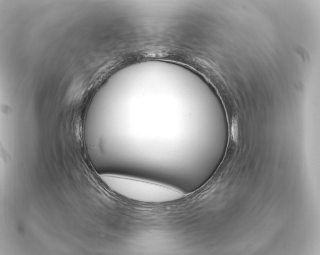 X0000091331444200708100953