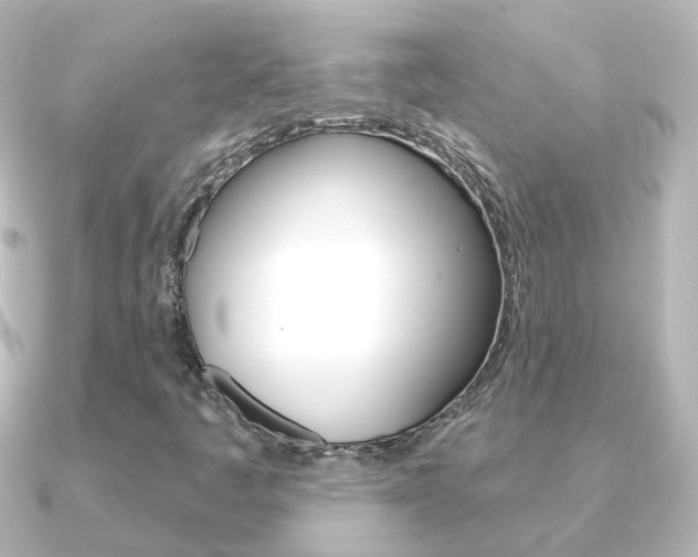 X0000091331445200708100953