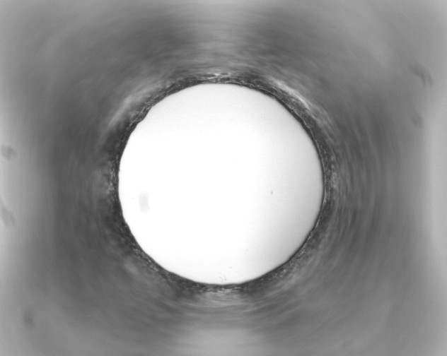 X0000091331447200708100953