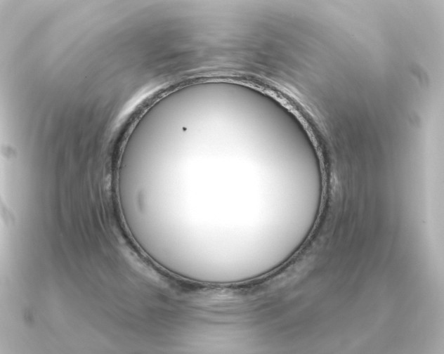 X0000091331450200708100953