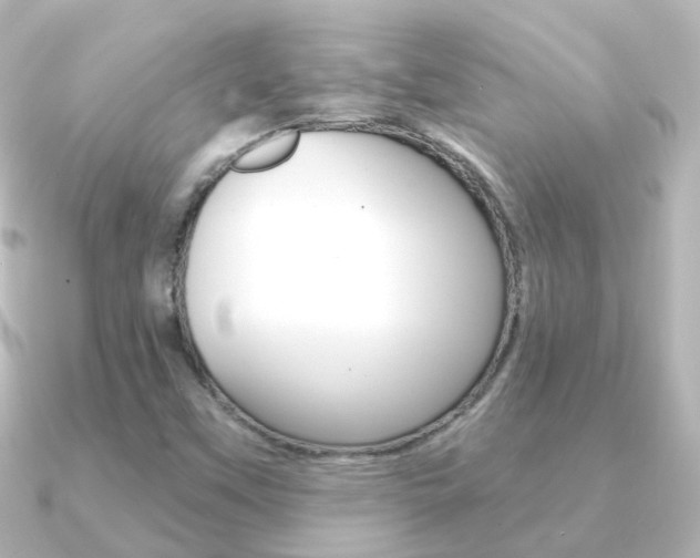 X0000091331451200708100953
