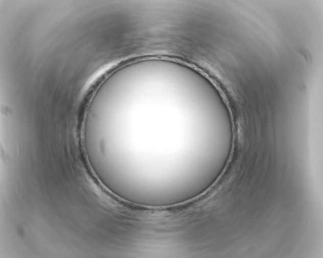 X0000091331452200708100953