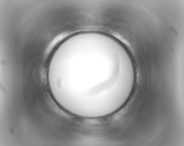X0000091331454200708100953