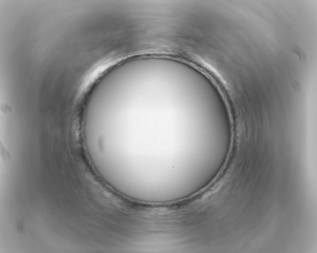 X0000091331455200708100953