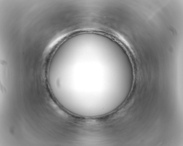 X0000091331456200708100953
