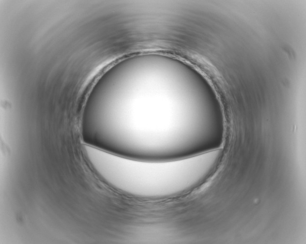 X0000091331457200708100953