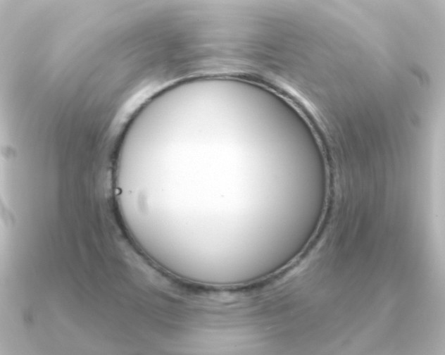 X0000091331459200708100953