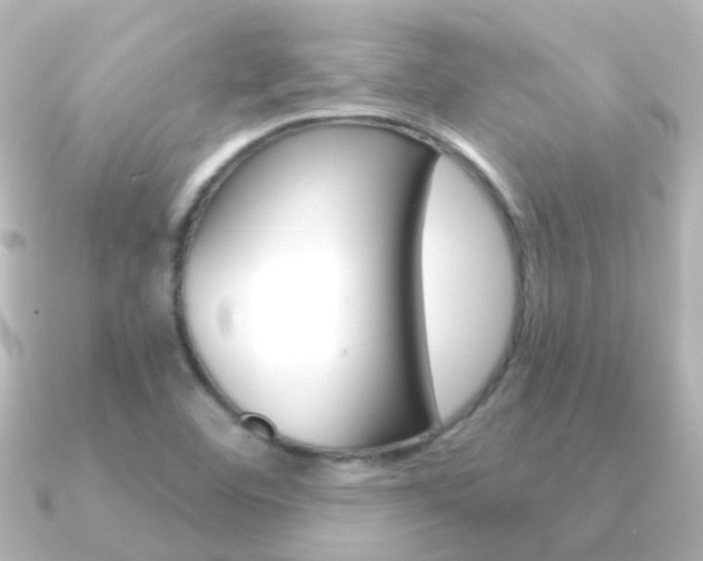 X0000091331460200708100953