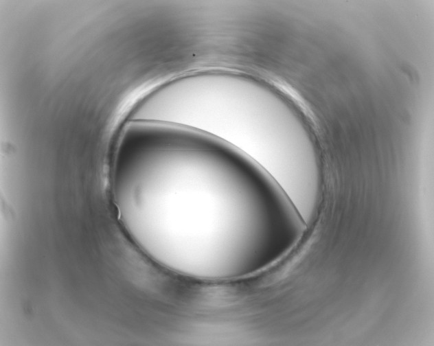 X0000091331461200708100953