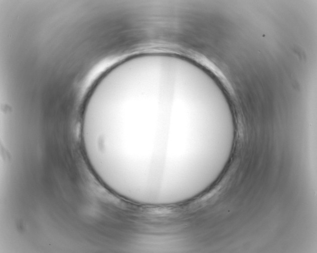 X0000091331462200708100953