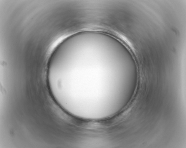 X0000091331463200708100953