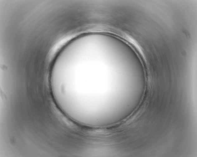 X0000091331464200708100953