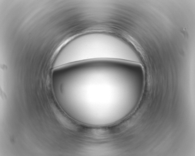 X0000091331465200708100953