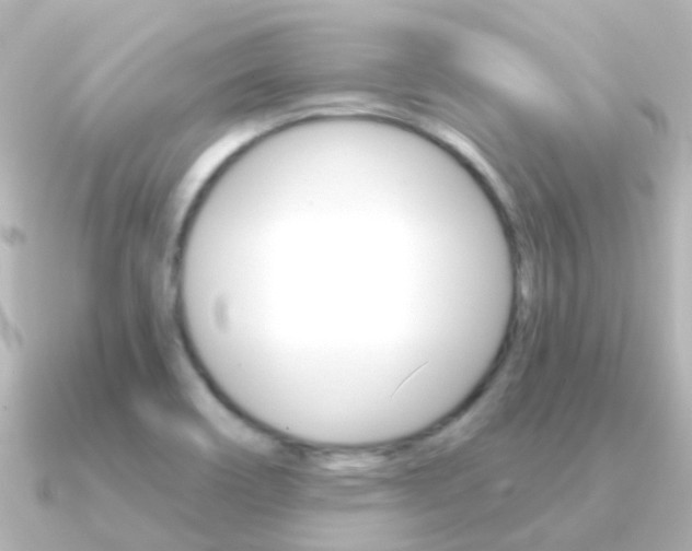 X0000091331466200708100953
