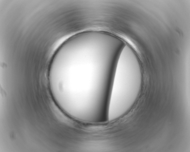 X0000091331468200708100953