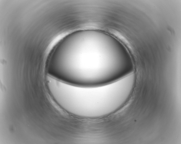 X0000091331469200708100953