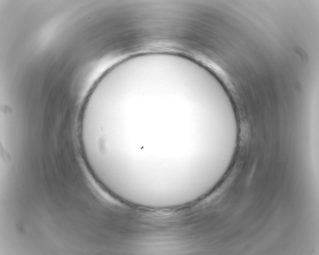 X0000091331470200708100953