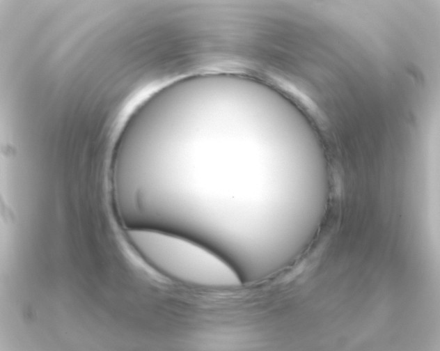 X0000091331471200708100953