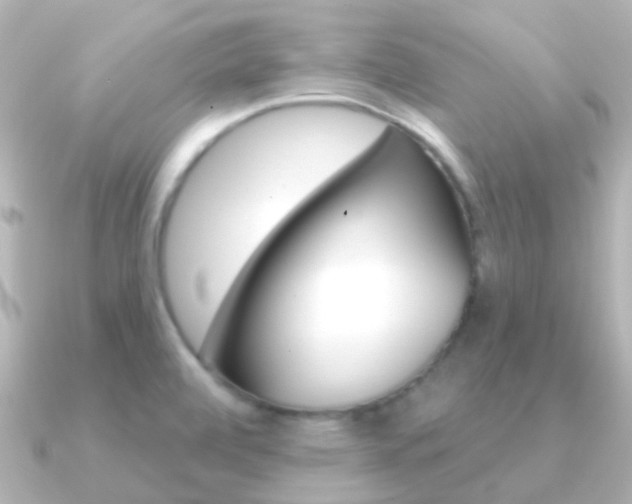 X0000091331472200708100953