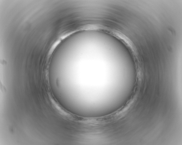 X0000091331473200708100953