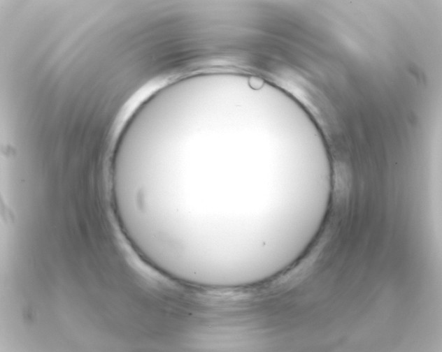 X0000091331474200708100953