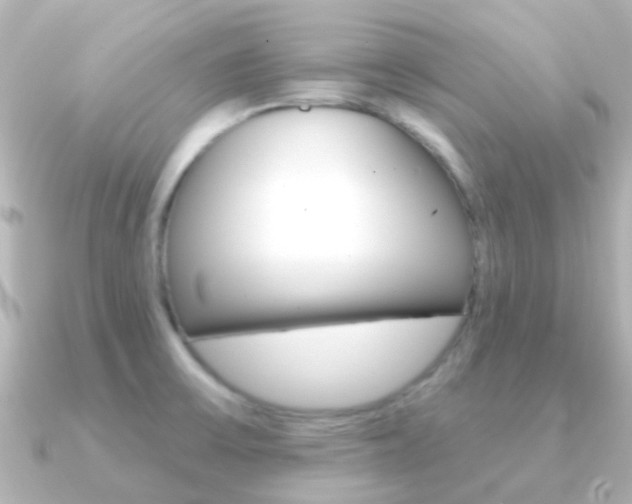 X0000091331475200708100953