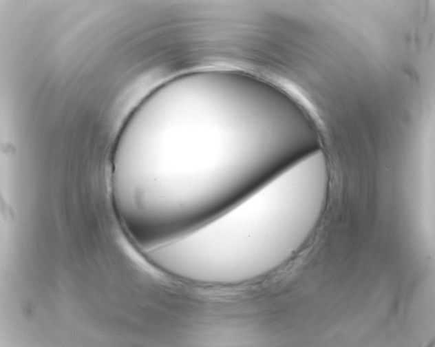 X0000091331476200708100953