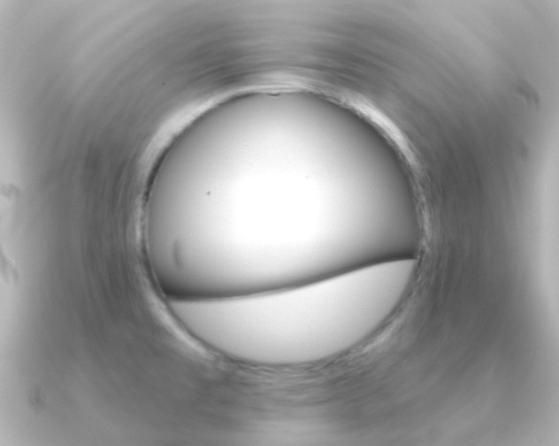 X0000091331477200708100953