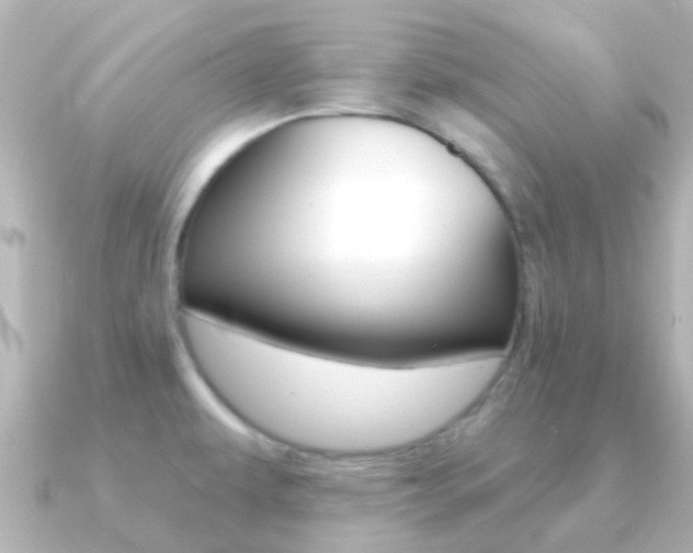 X0000091331479200708100953