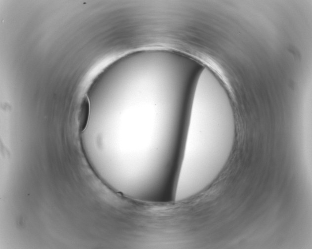 X0000091331480200708100953