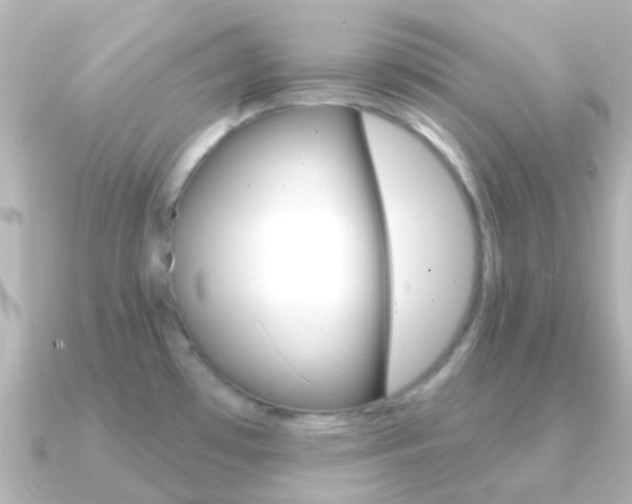 X0000091331481200708100953