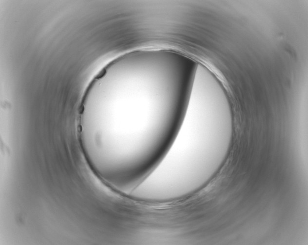 X0000091331484200708100953