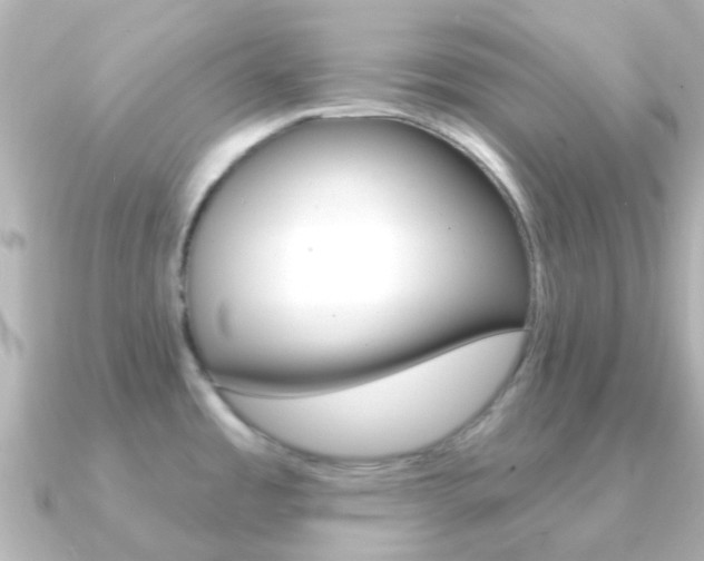 X0000091331485200708100953