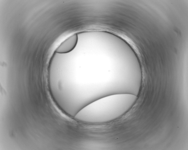 X0000091331486200708100953