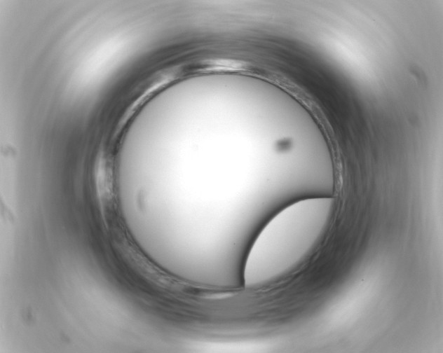 X0000091331487200708100953