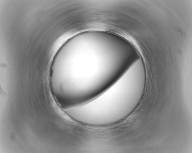 X0000091331488200708100953
