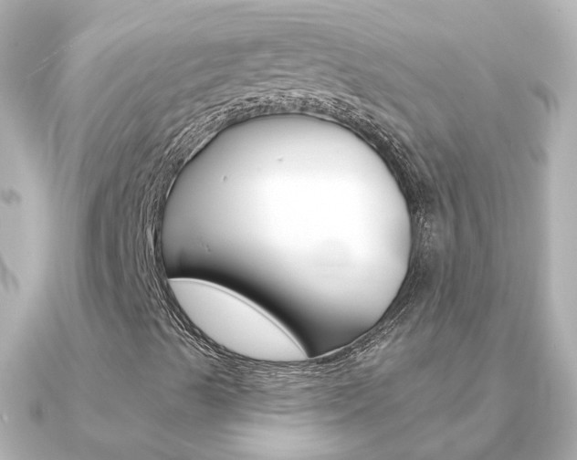X0000091331489200708100952