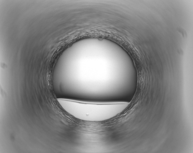 X0000091331490200708100952