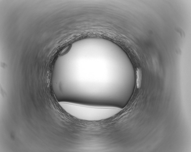 X0000091331491200708100952
