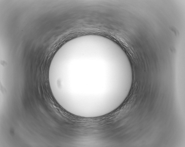 X0000091331492200708100952