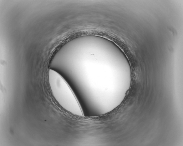 X0000091331493200708100952