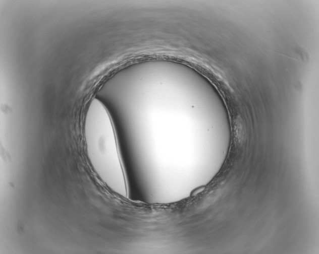 X0000091331494200708100952