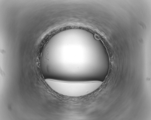 X0000091331495200708100952
